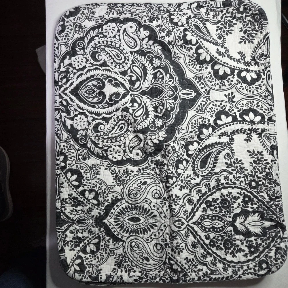 Lush Decor Aubree Black and White Paisley Geometric Quilted Pillow Shams Bedding